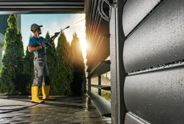 Best Roof Cleaning and Mildew Removal in Lexington, VA