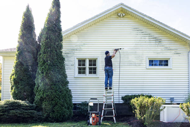 Best Concrete Surface Cleaning in Lexington, VA
